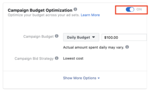budget optimization 1