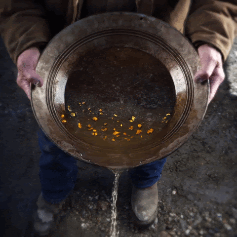 panning for gold